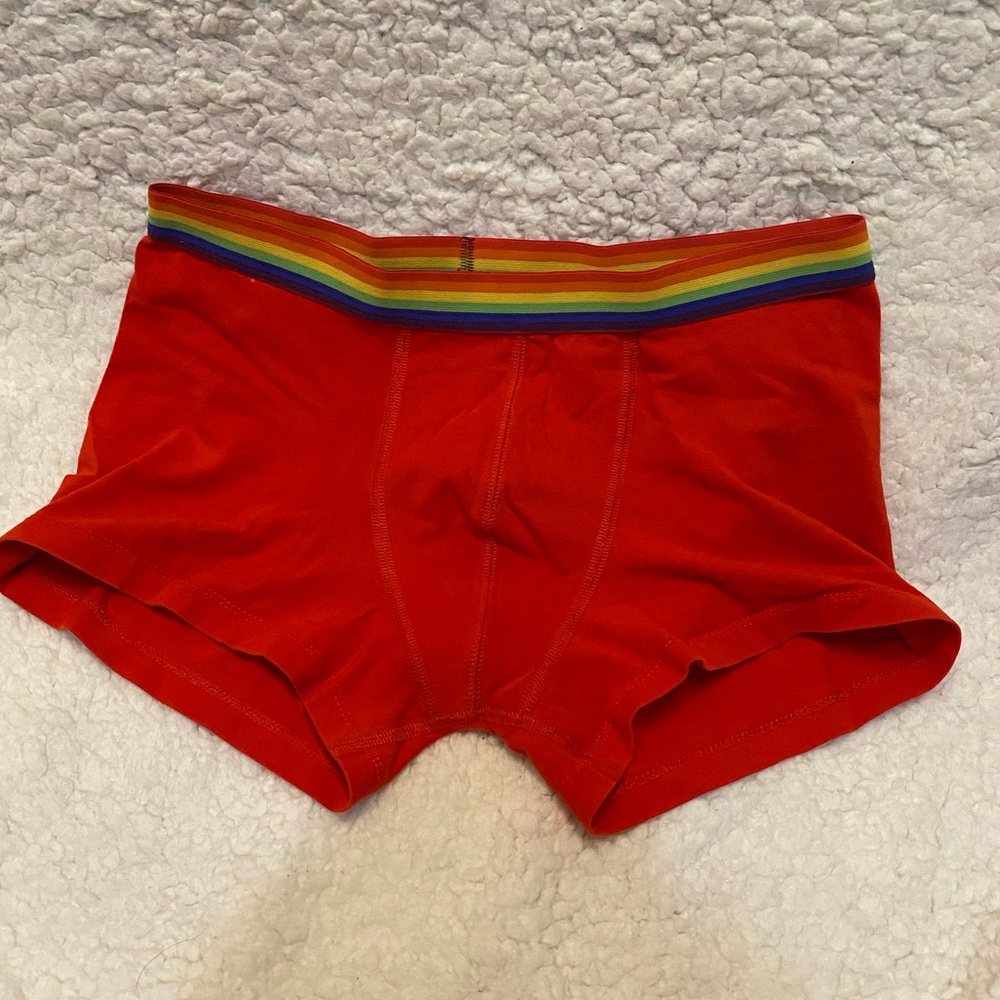 🩲🏳️‍🌈 Trunk Boxer Briefs